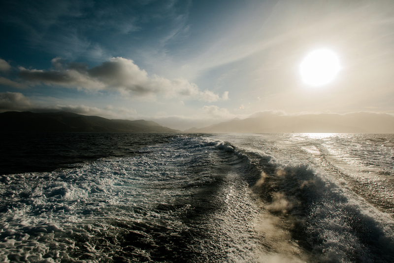 Illustration for article titled Adventure: Trans-Catalina Island Trail